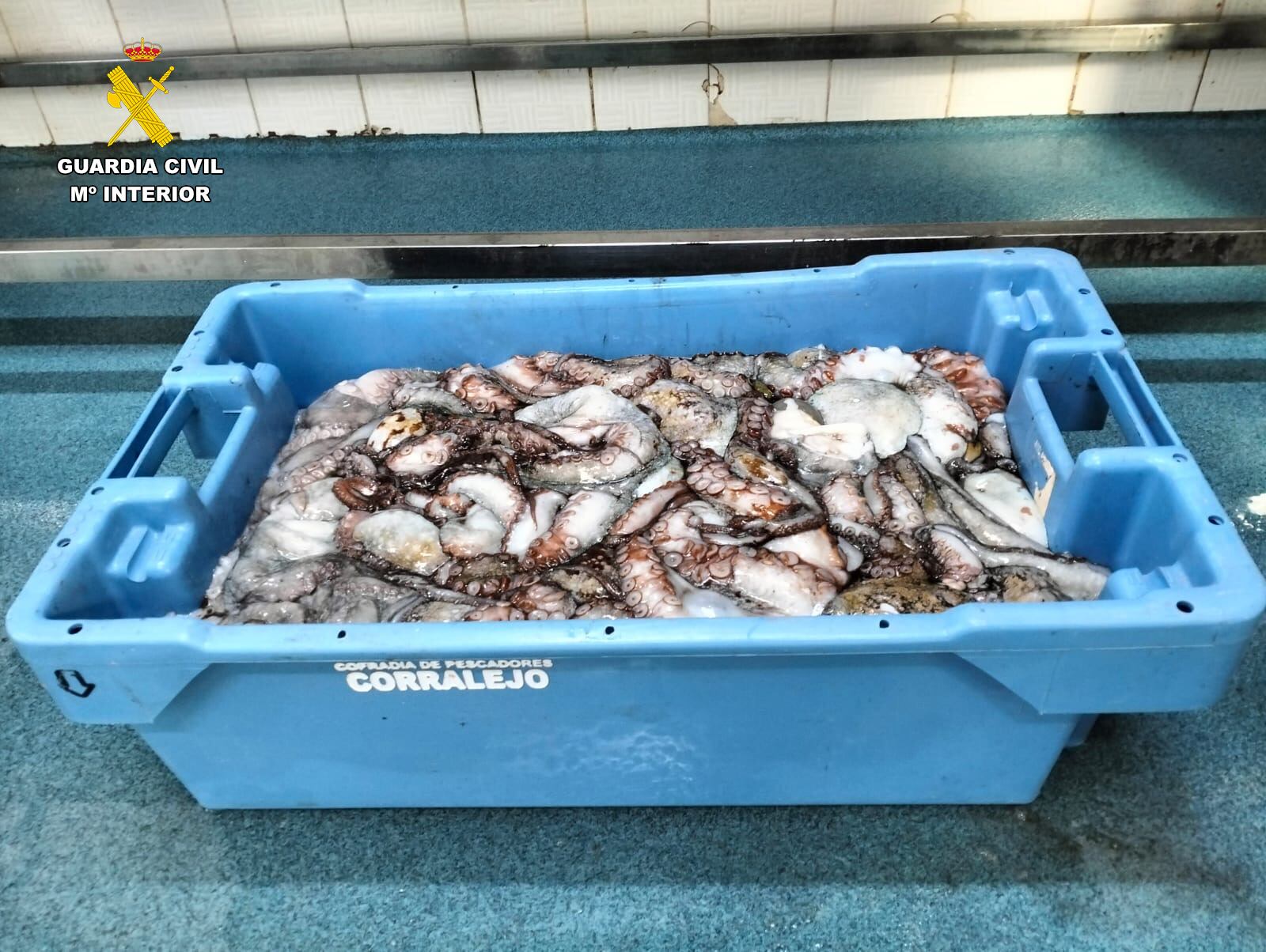 Pescado incautado en Lanzarote.