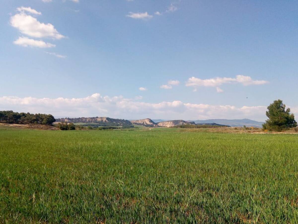 La Primera Llamada del Día con Félix Bariain (15/05/2019)