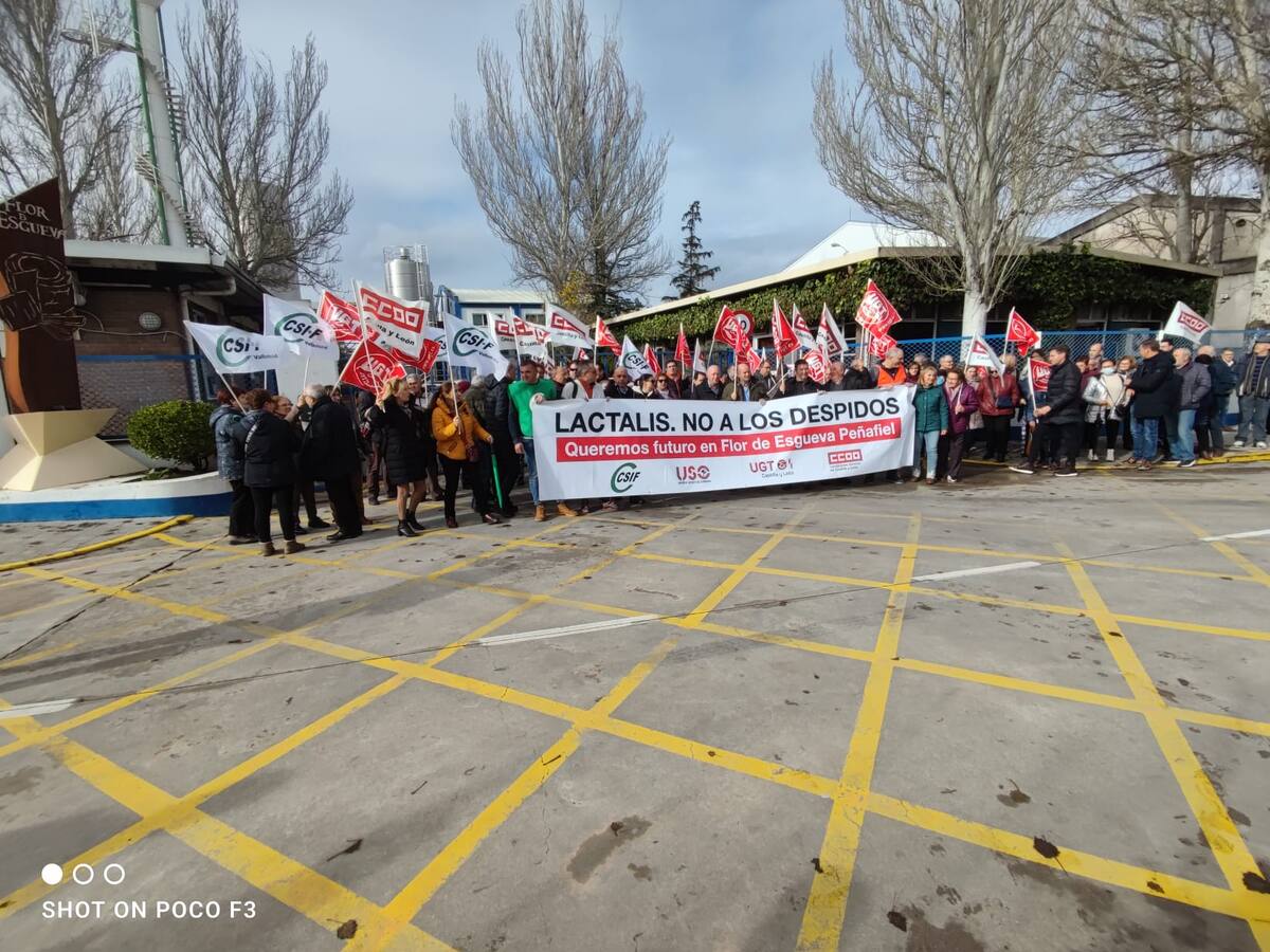 Lactalis niega "rotundamente" el cierre de Flor de Esgueva, pero si habla de "reajuste" en la plantilla