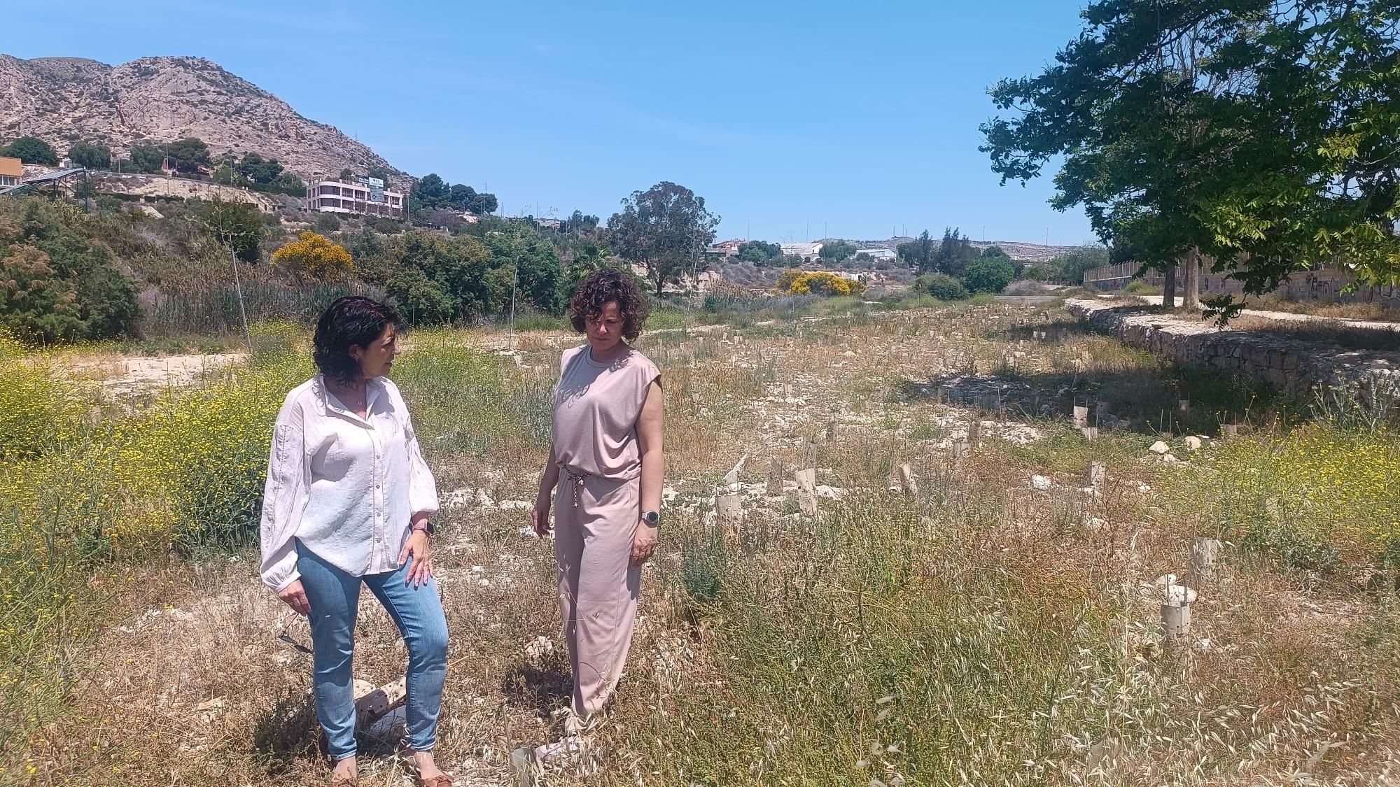 El PP de Elda ha manifestado su “profunda decepción y preocupación por una gestión ambiental basada más en el marketing político que en resultados reales”