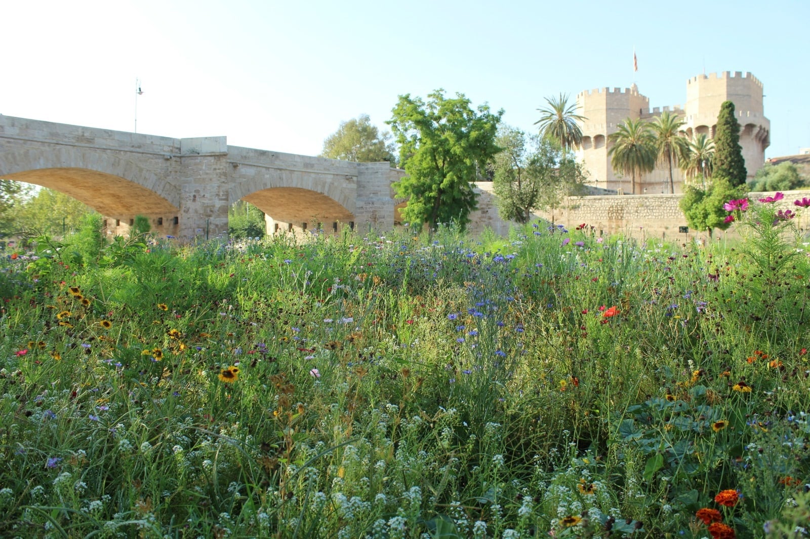 Jardín del tramo VI del río Turia