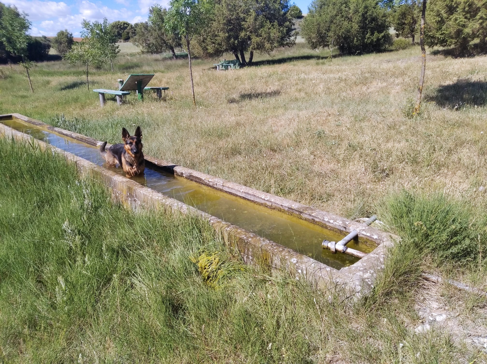 Fuente del abrevadero de Villanueva de Gumiel