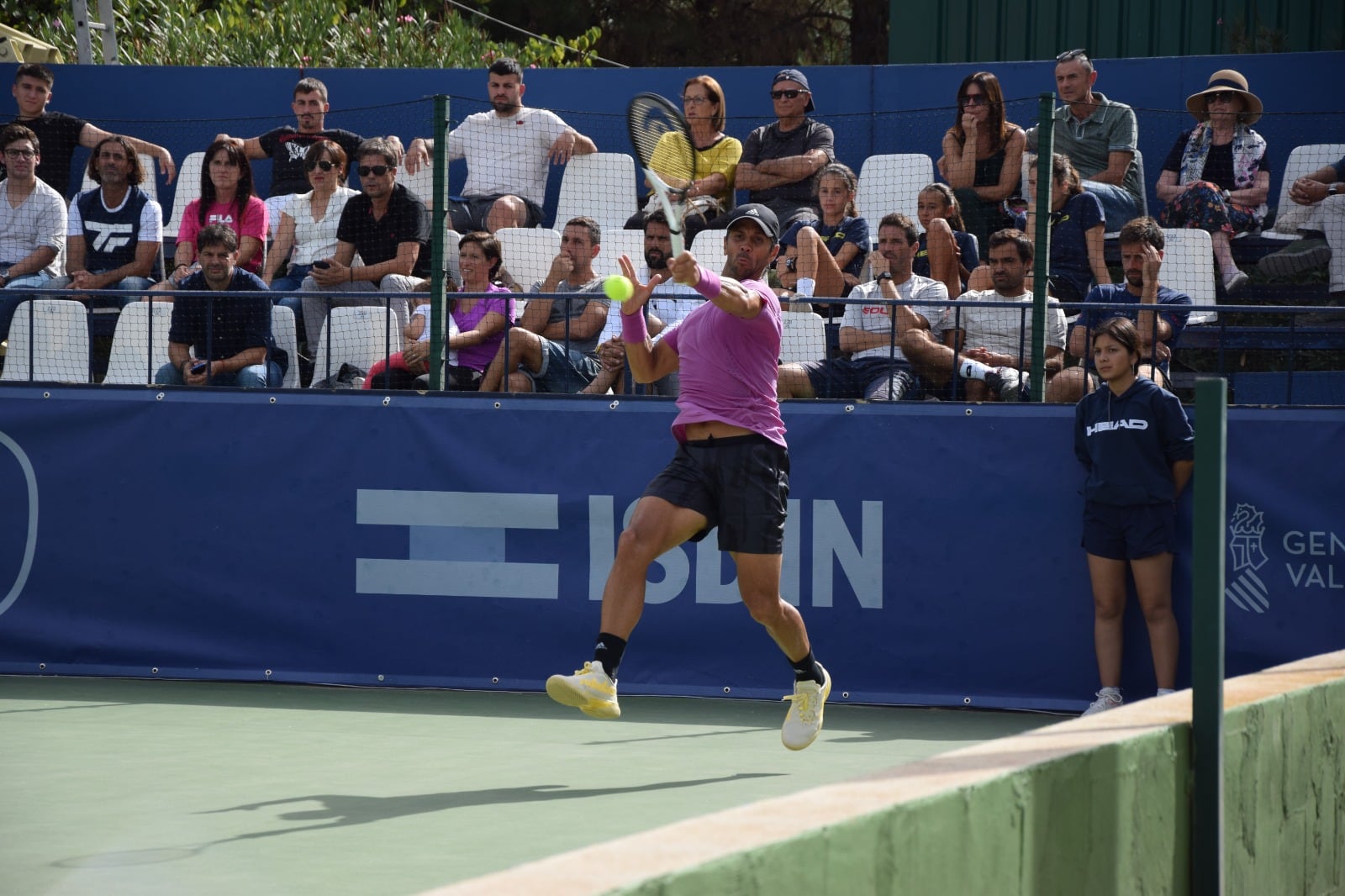 Fernando Verdasco