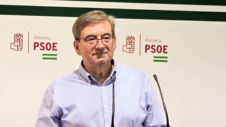 El secretario general del PSOE en Almería, Fernando Martínez. 