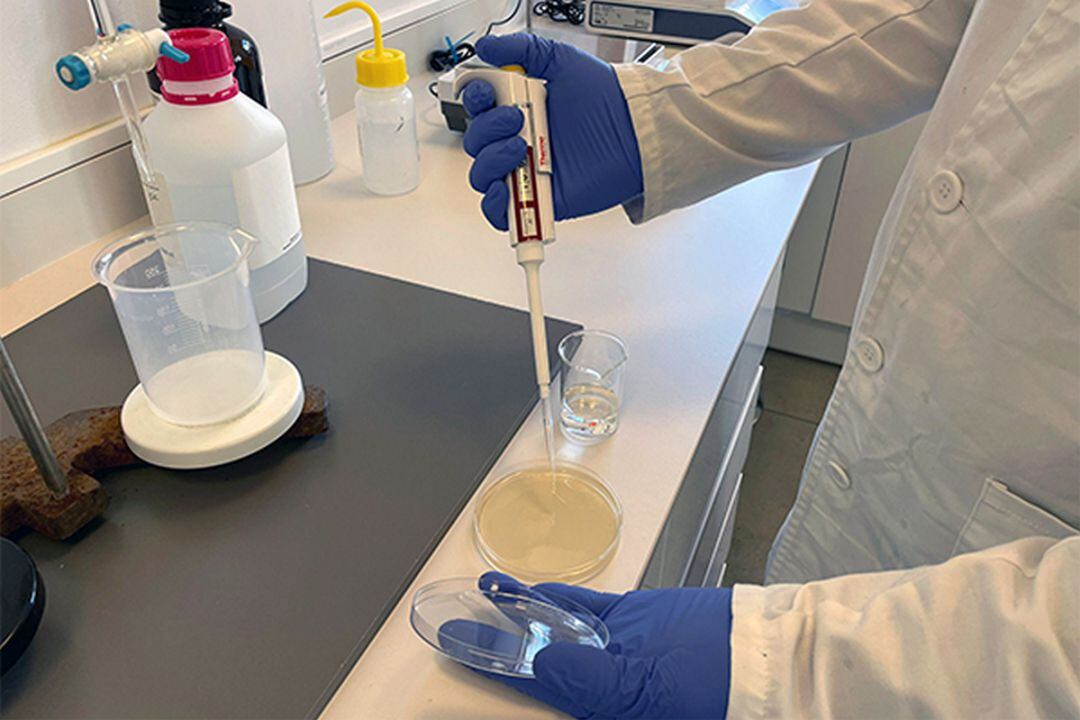 Laboratorio de la empresa BETELGEUX-CHRISTEYNS