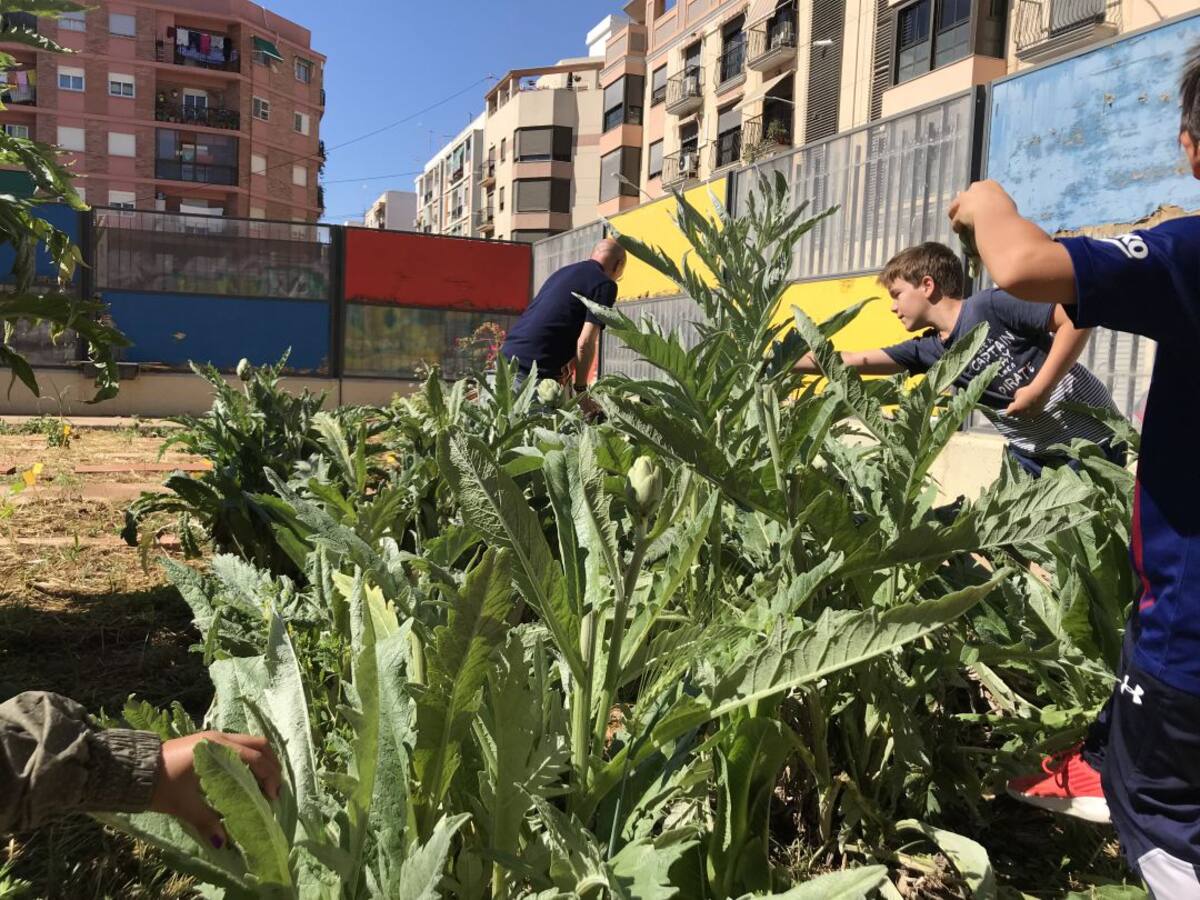 Guía de alimentación sostenible