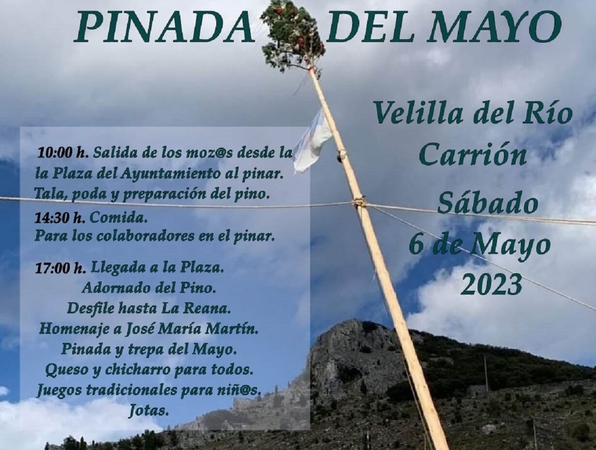 Velilla del Río Carrión celebra la ‘Pinada del Mayo’