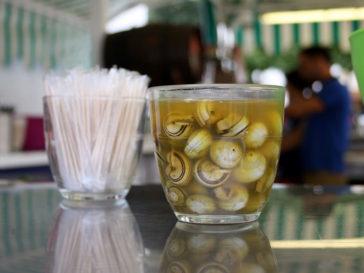 Córdoba da la bienvenida a la temporada de caracoles con buen tiempo y una cosecha excelente