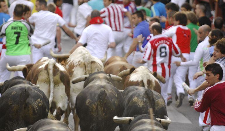 El 'Encierrillo' se corre sólo con los cabestros y en el recorrido inverso del encierro para trasladarles a los Corrales de Suelta