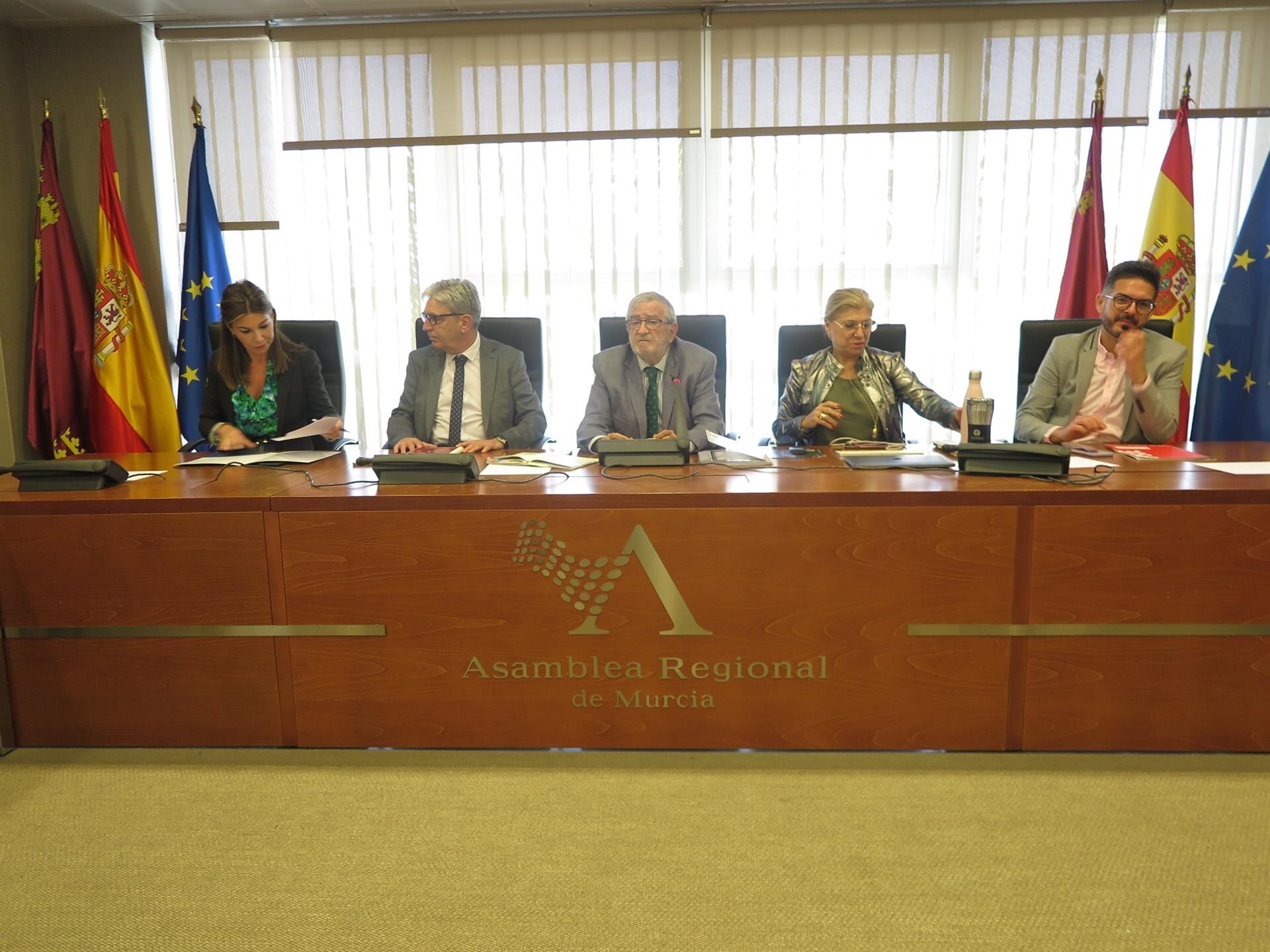 Imagen de la reunión de la Diputación Permanente