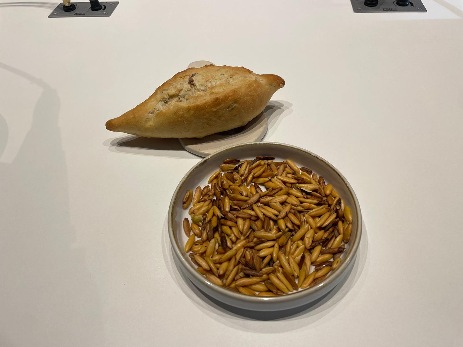 La nueva pipa del Mediterráneo