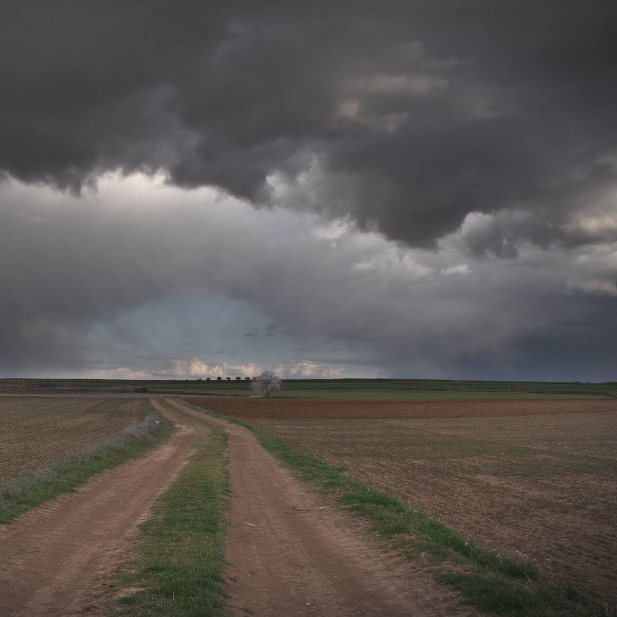 La Aemet activa el aviso amarillo por tormentas en Palencia