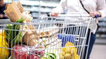 Los supermercados más baratos de Castellón: ahorro de hasta 1.400 euros al año en la cesta de la compra