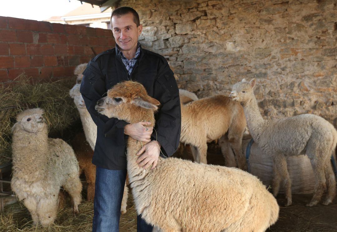 Óscar Alonso, junto a 'Marco',en su granja de Alpacas en Revilla de Pomar (Palencia)