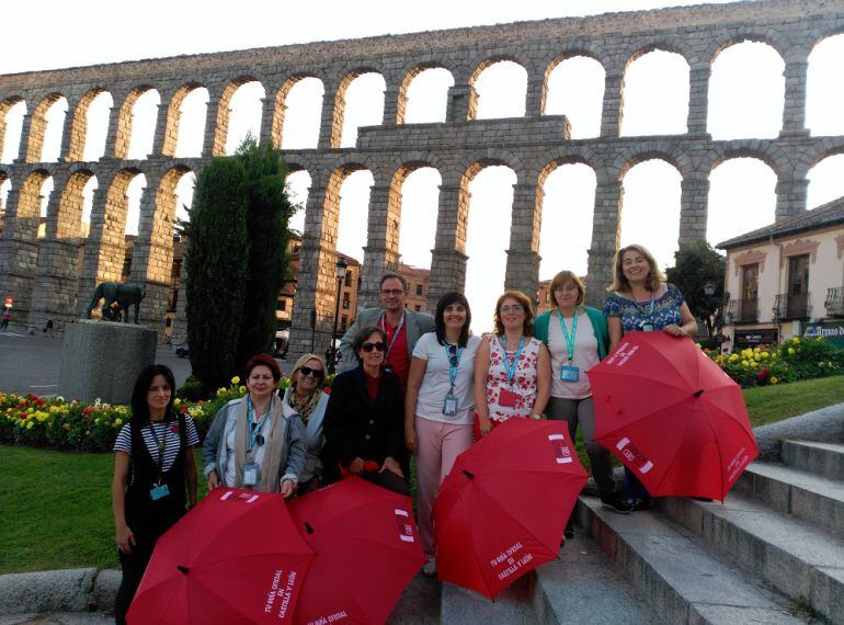 Guías Oficales de Turismo Segovia