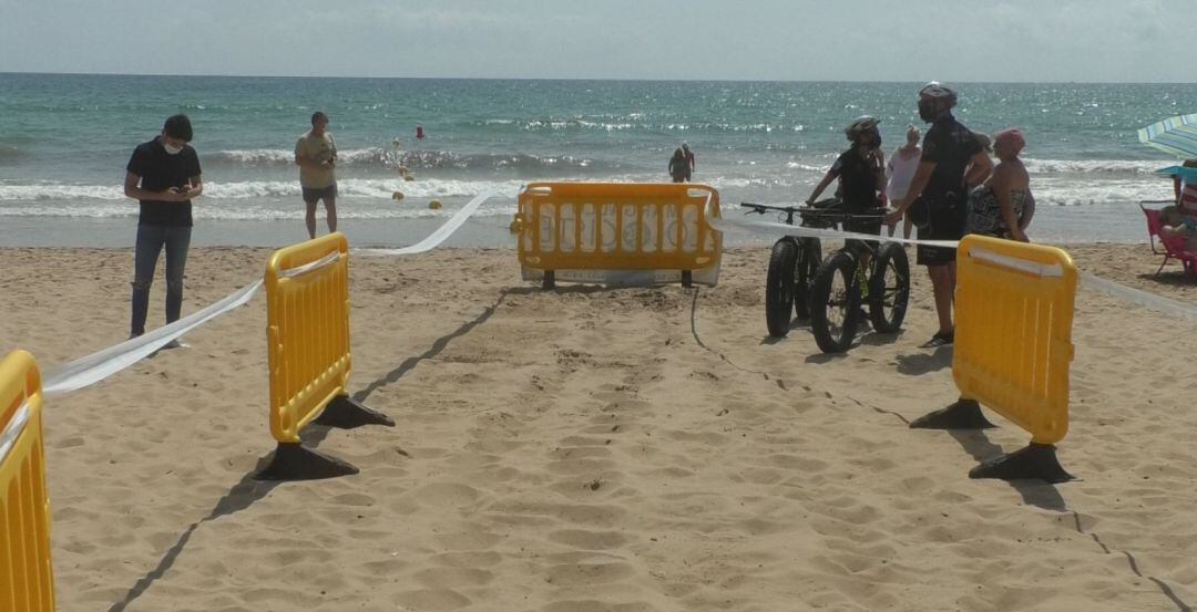 Simulacro de la puesta de nido de tortuga en Arenales