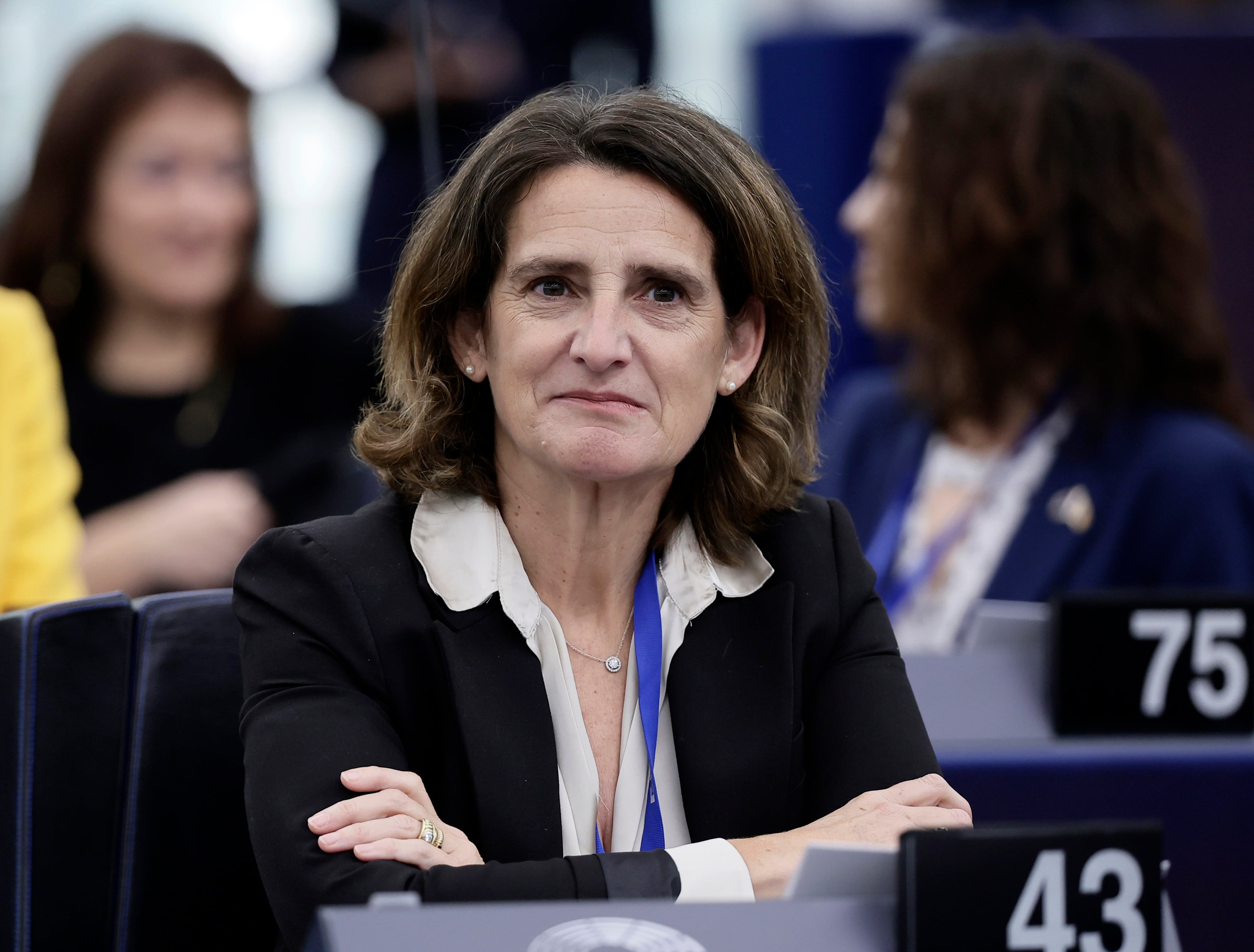 Teresa Ribera en el Parlamento Europeo. 