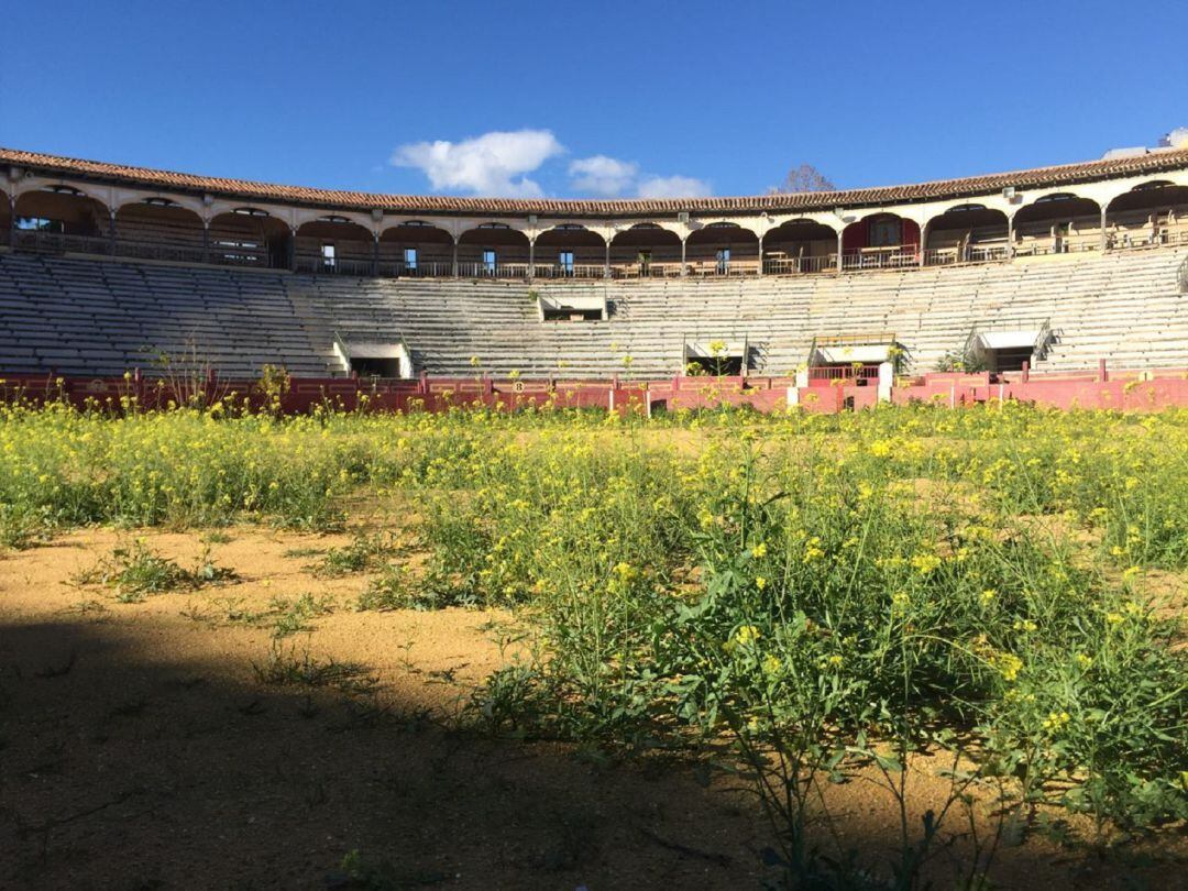 Estado actual de la plaza de toros de Sutullena, Lorca