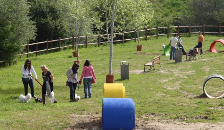 El entrenamiento de perros y necesita de la educación también de sus dueños 