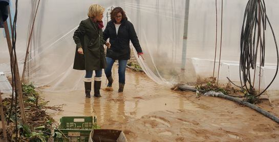 La consejera Adela Martínez-Cachá visita los invernaderos afectados por la lluvia.