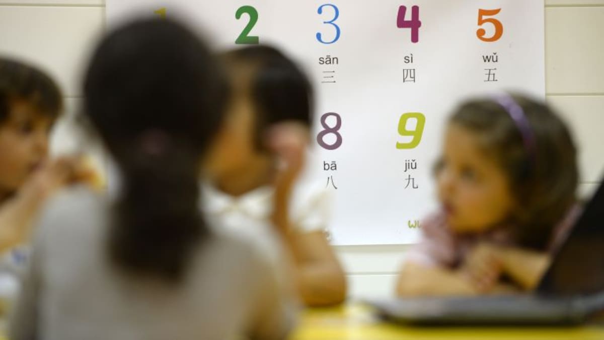 La educación avanza