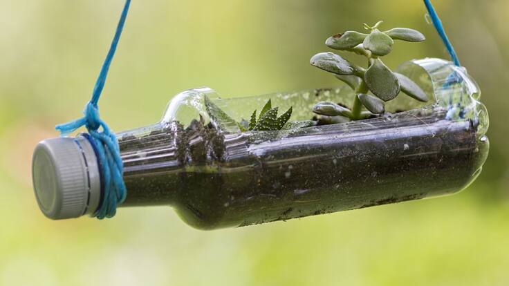 La llavor (25/05/2019)