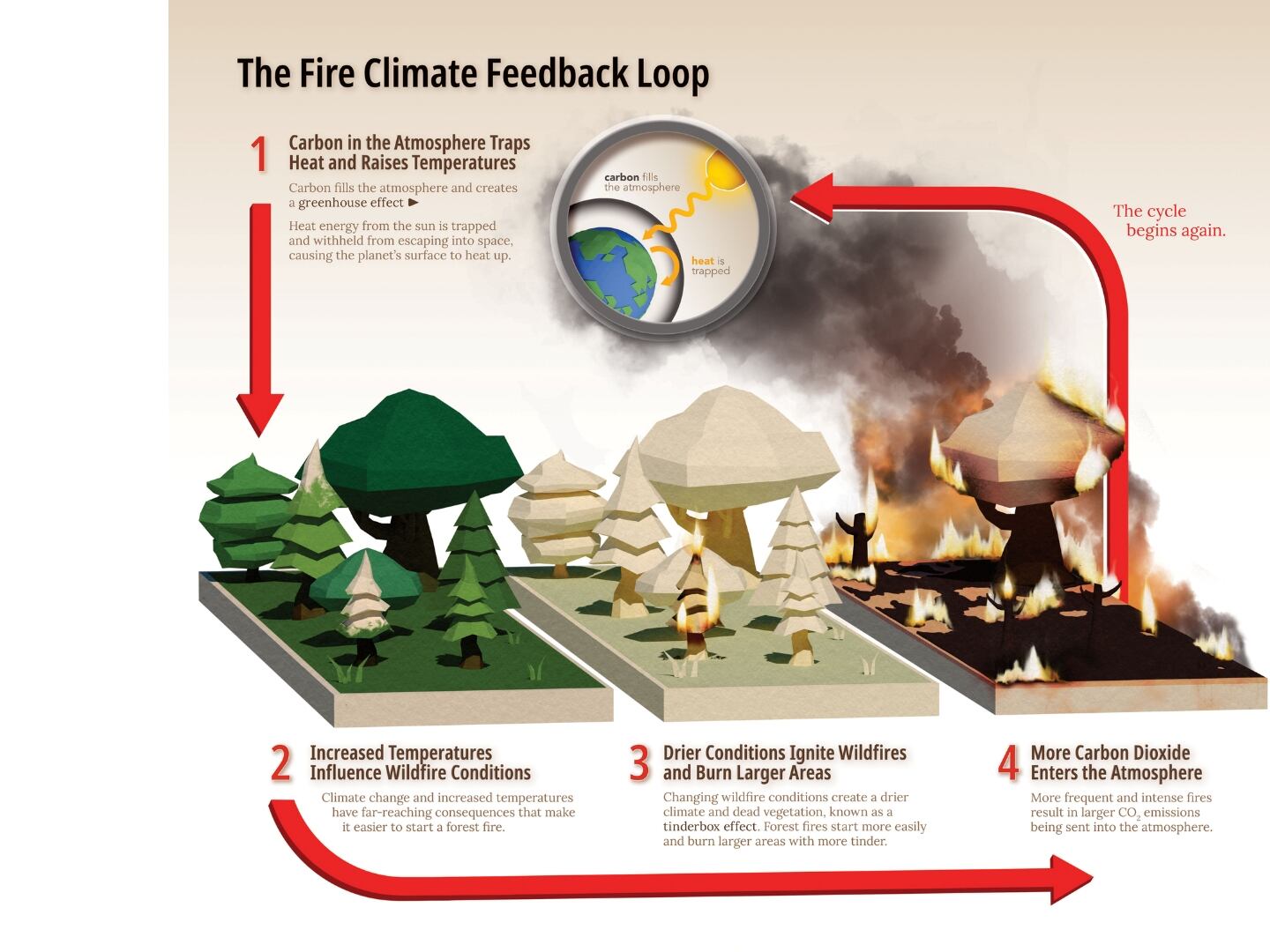 Ilustración infográfica que muestra el mecanismo de retroalimentación entre los incendios y el cambio climático