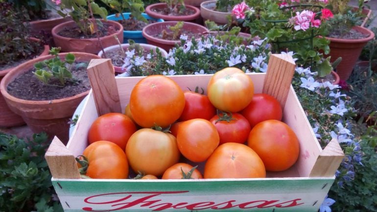 El Mercado Ecológico de Palencia vuelve a su cita