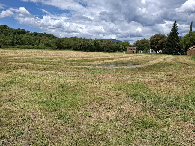 Daños en el campo. Foto: Ayto. de Aínsa