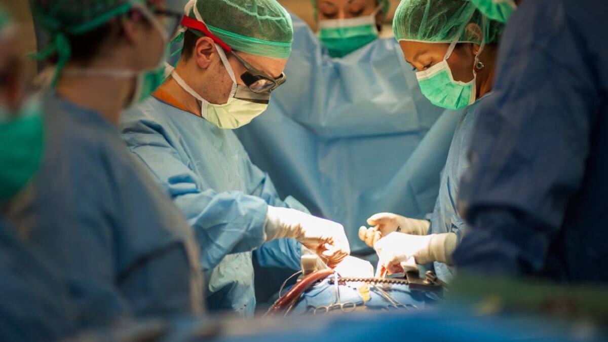 Baleares alcanzó 54 donaciones que generaron 143 órganos para trasplantes en 2021