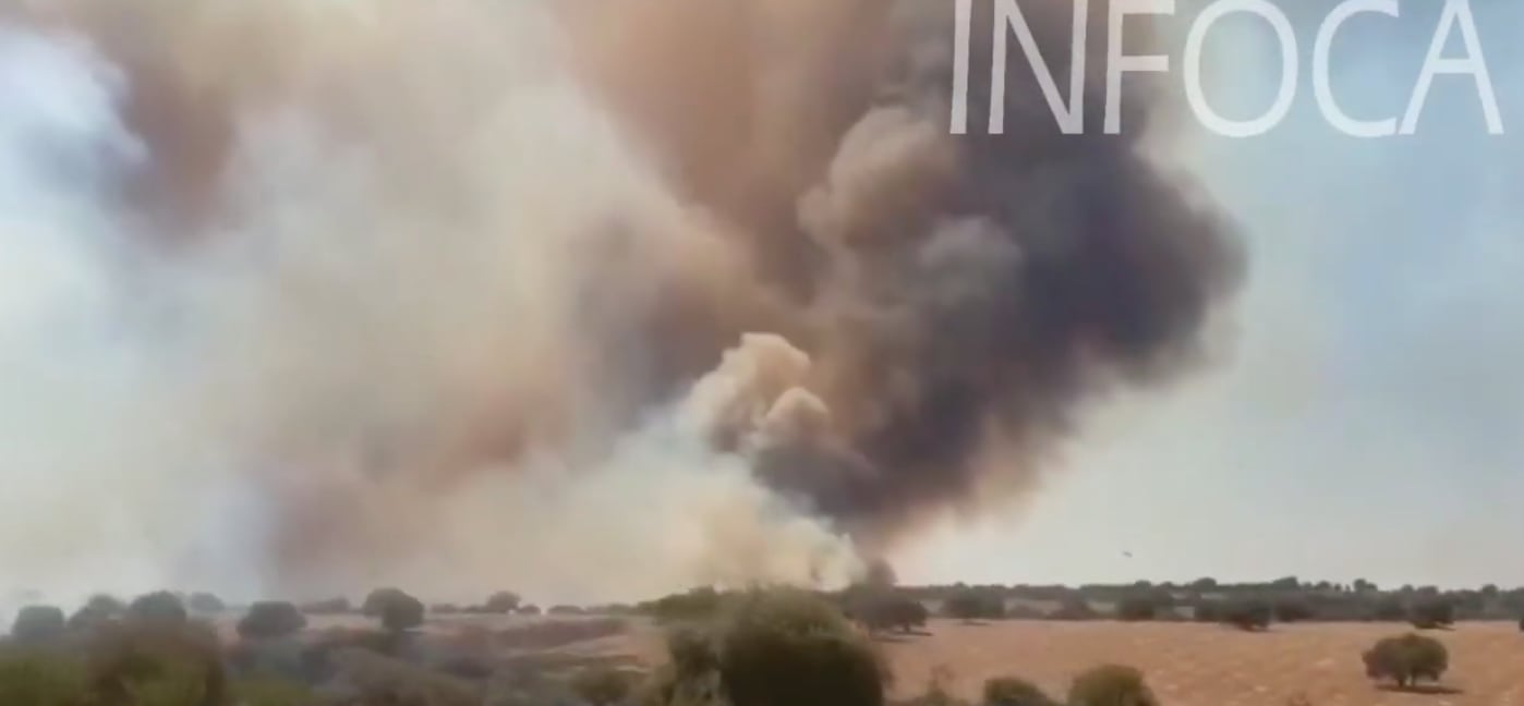 Foto del incendio forestal en Villarrodrigo.