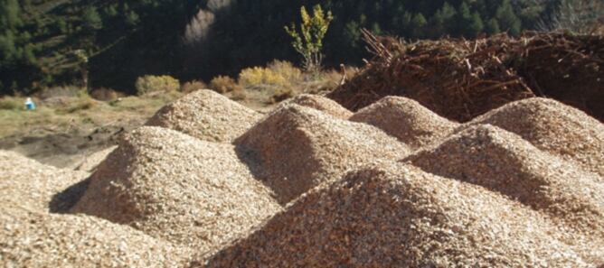 Imatge arxiu biomassa - Centre Tecnològic Forestal
