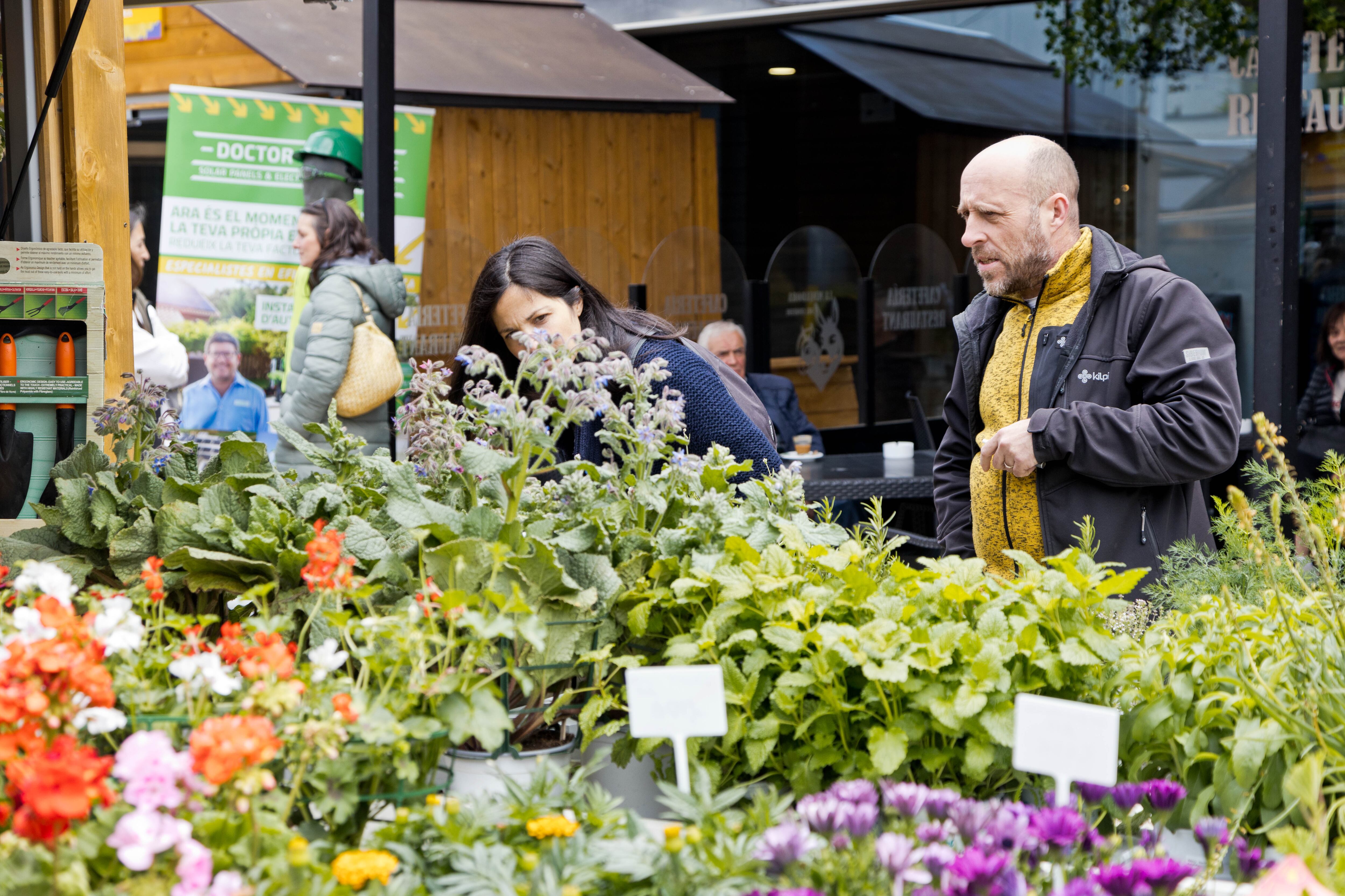 Visitants a Andoflora aquest passat cap de setmana.