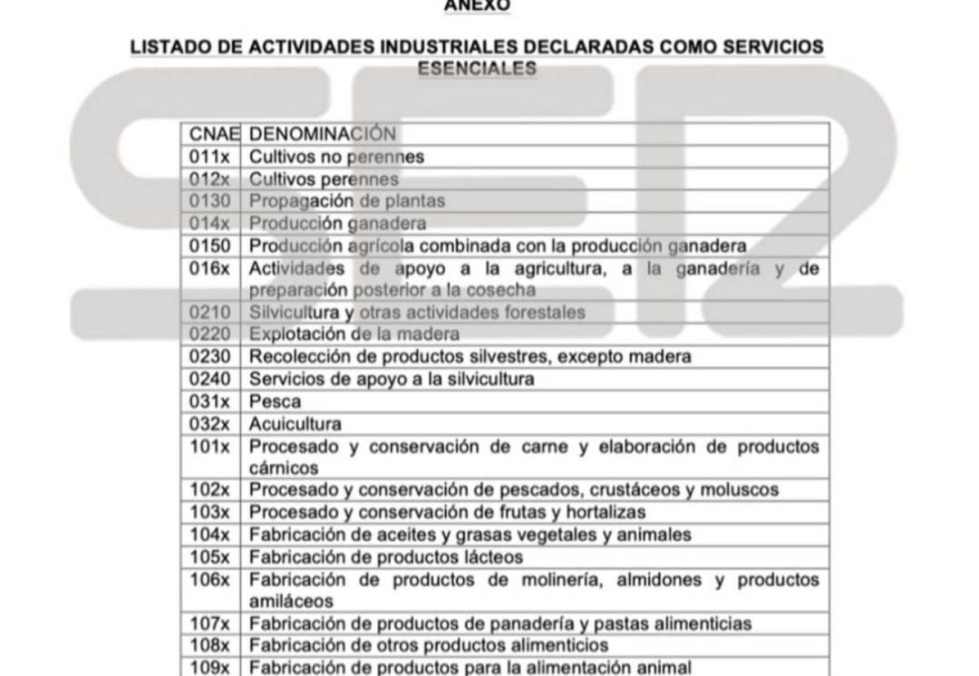 Borrador que adelantó la Cadena SER con las posibles actividades consideradas esenciales.