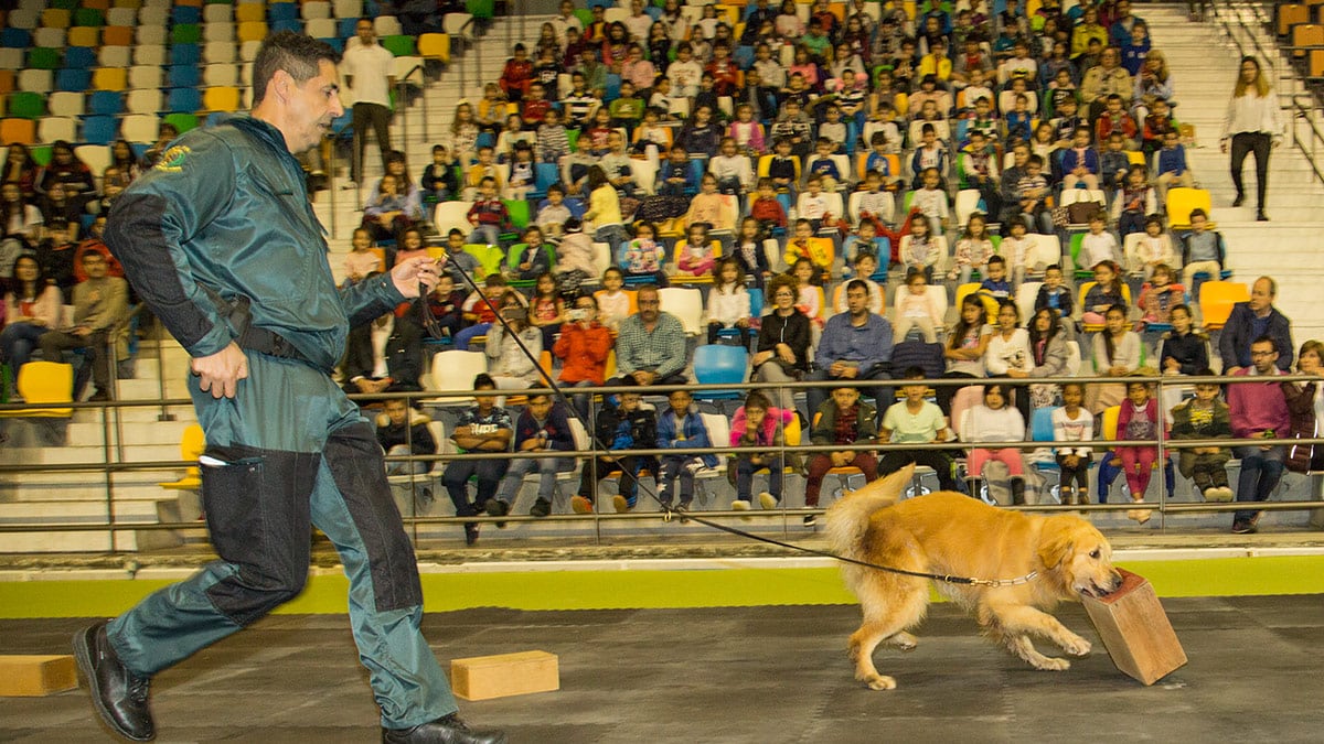 Exhibición de perros adiestrados a cargo de la Guardia Civil. Fercatur 2018