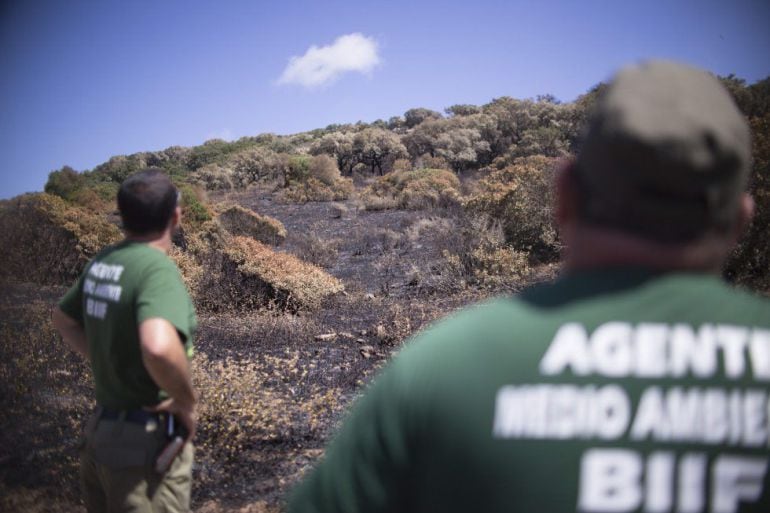 Agentes de Medio Ambiente, de la Brigada de Investigacion de Incendios Forestales trabajan sobre el terreno en un siniestro