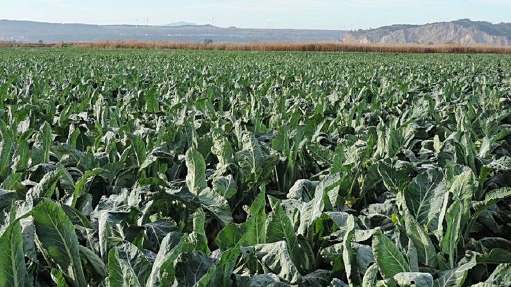 La Ventana de la empresa navarra (25/03/2021)