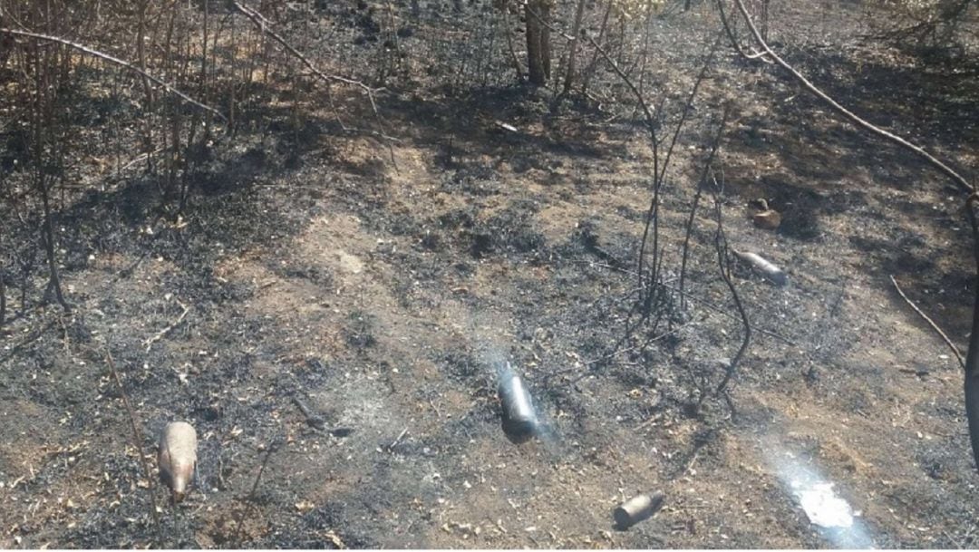 Foto tomada por los vecinos del Caserío de Urgel de la parcela en la que comenzó el fuego