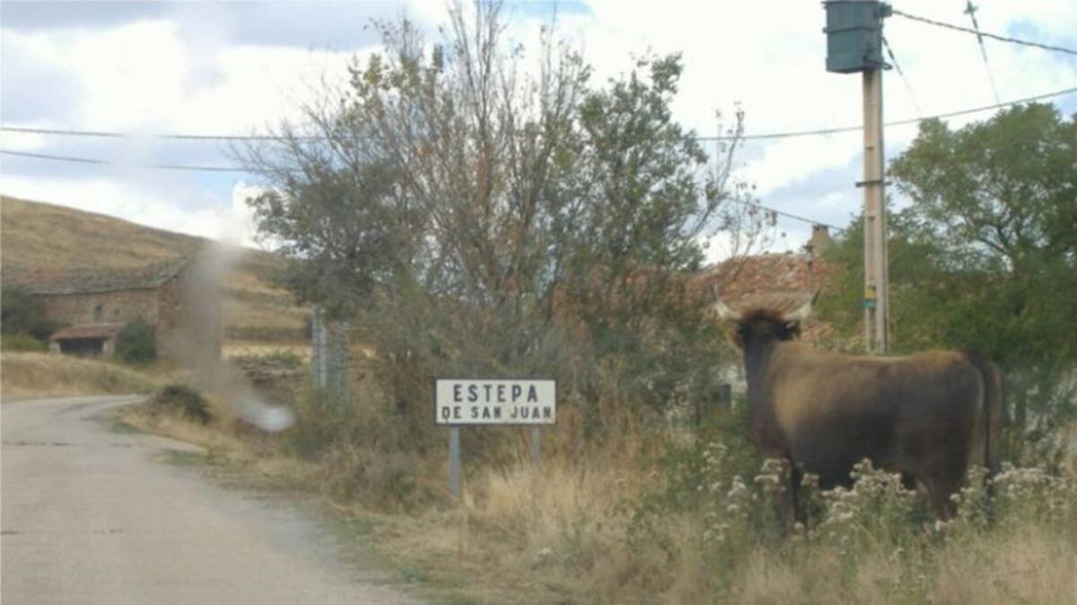 Los jóvenes de Castilla y León hablan: 'queremos tener la posibilidad de volver'