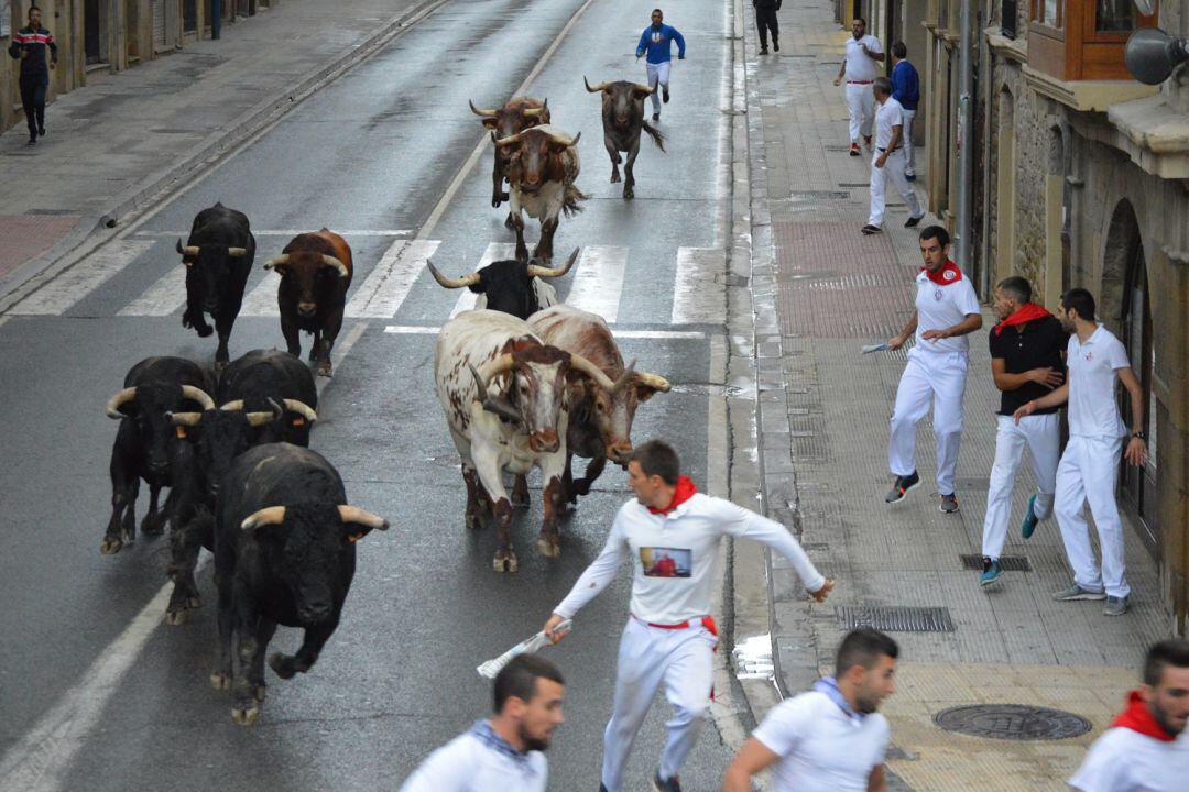 Último encierro fiestas de Tafalla 2019