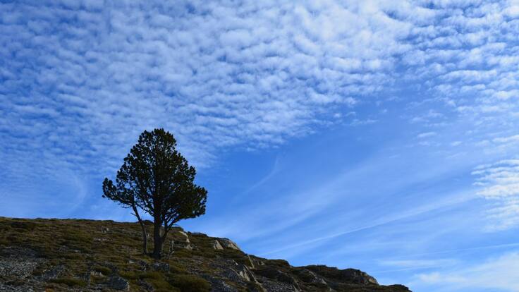 La Primera Llamada del Día: Maitena Ezkutari (02/06/2020)