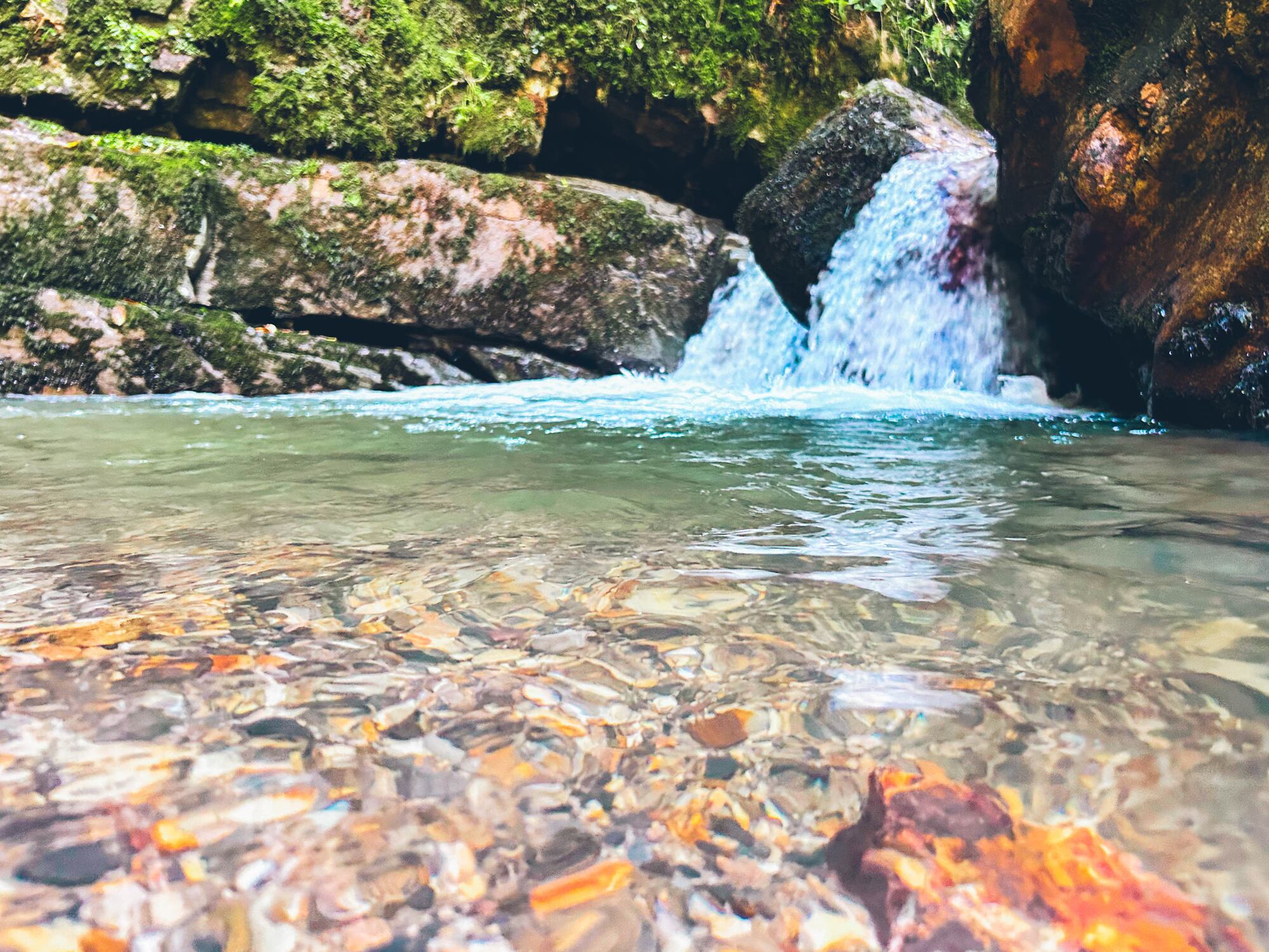 La CHD y el ITAGRA concluyen con éxito el convenio de colaboración para la mejora de la conectividad fluvial