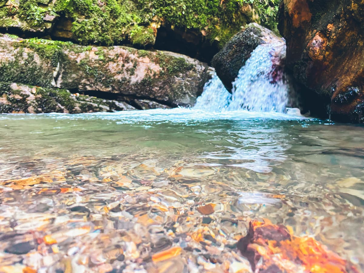 La CHD y el ITAGRA concluyen con éxito el convenio de colaboración para la mejora de la conectividad fluvial