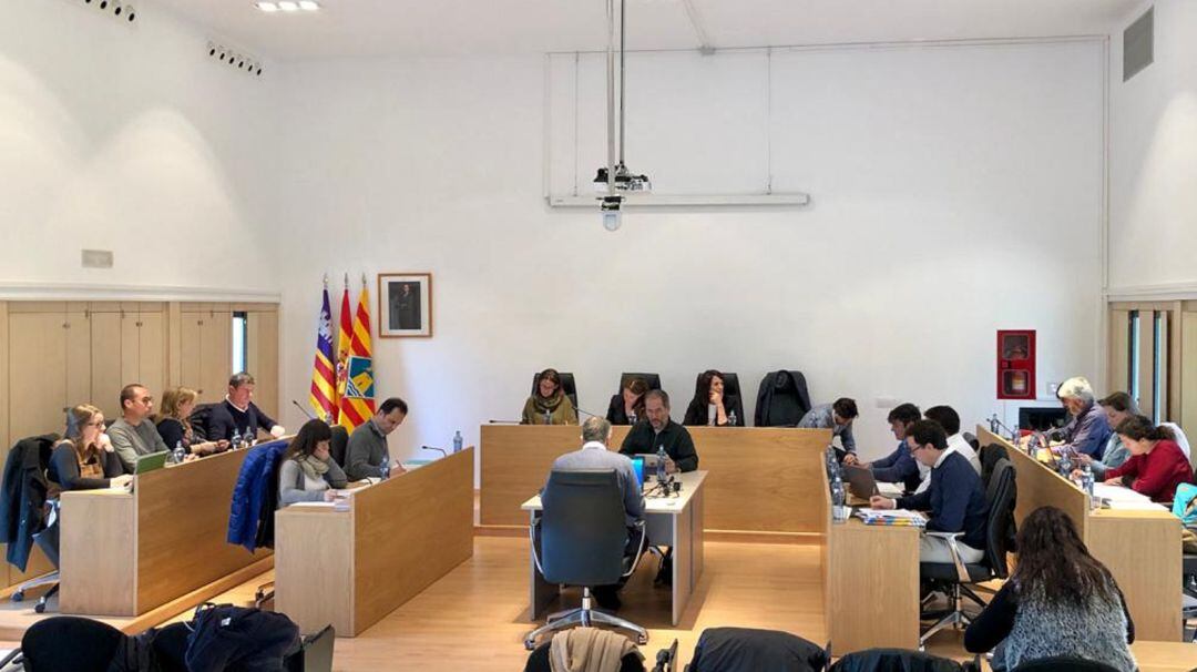 Imagen pleno Consell Formentera