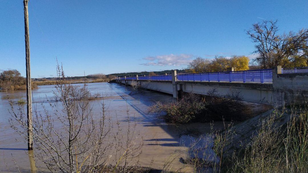 Imagen del Ebro a su paso por Novillas esta mañana