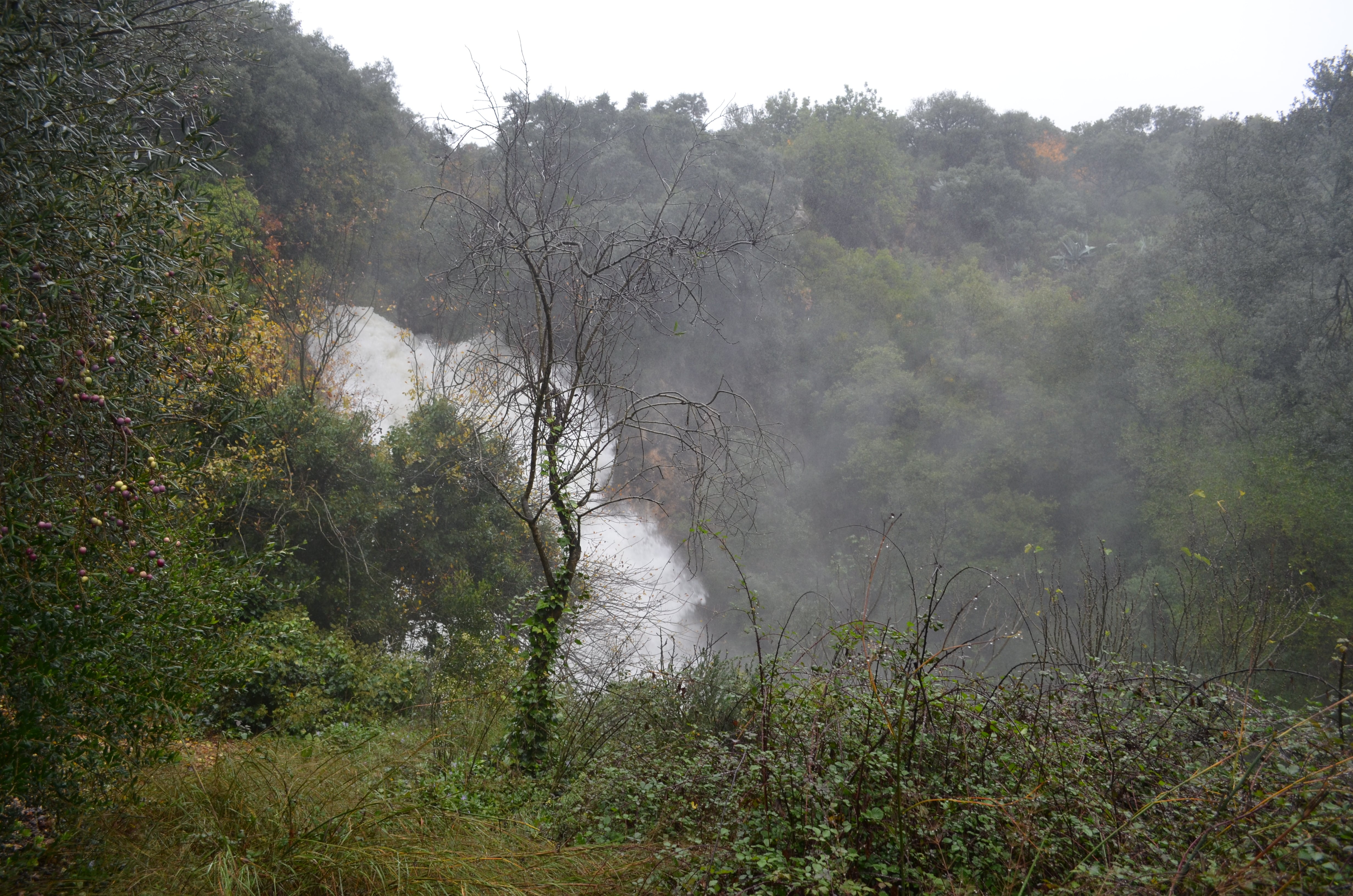 Todo apunta a que el impresionante caudal que arroja el Pozancón proviene de la Sierra de Jarastepar