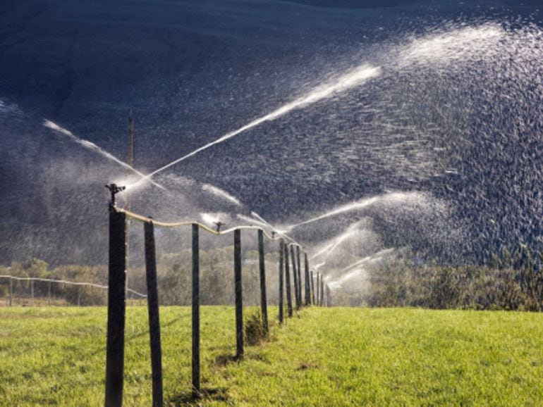 El retraso en la siembre y recolección de algunas variedades aumenta la demanda de agua de los embalses. 