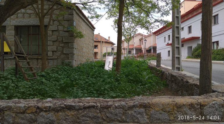 Quejas de un oyente por la maleza presente en el parque infantil de Vicolozano