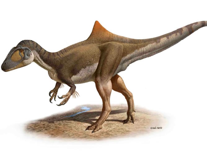 Se llama &quot;Concavenator corcovatus&quot;, vivió hace unos 125 millones de años en la Península Ibérica, medía 6 metros y es el primer dinosaurio que se ha encontrado que tenía joroba