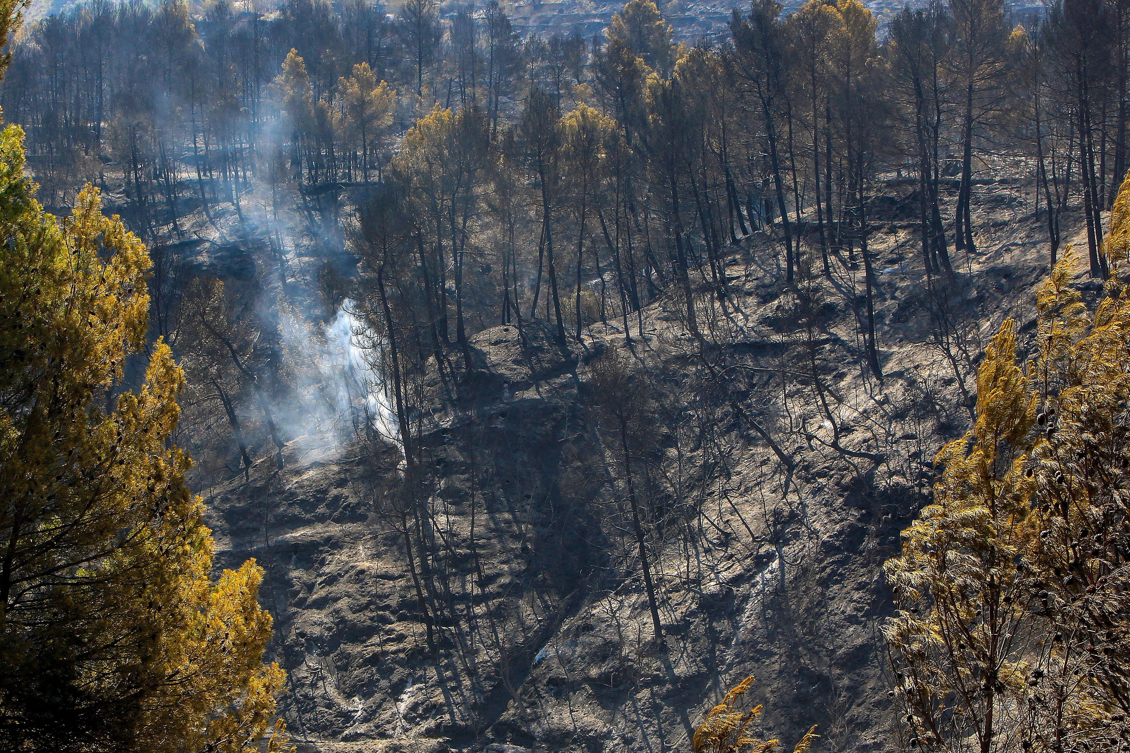 Incendio de Benasau